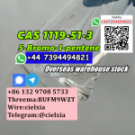 Free Customs to EU CA CAS 5-Bromo-1-pentene CAS 1119-51-3 - Sell advertisement in Las Vegas