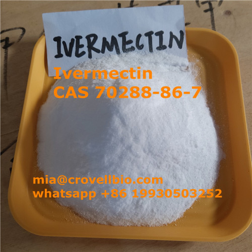 Find Ivermectin powder CAS 70288-86-7 supplier manufacturer in China ( whatsapp +86 19930503252 - photo