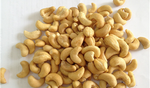 Vietnamese Cashew Nut Kernels SW320 - photo