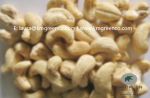 Vietnamese Cashew Nut Kernels LBW240 - Sell advertisement in Atlanta