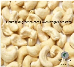 Vietnamese Cashew Nut Kernels WW240, WW320 - photo