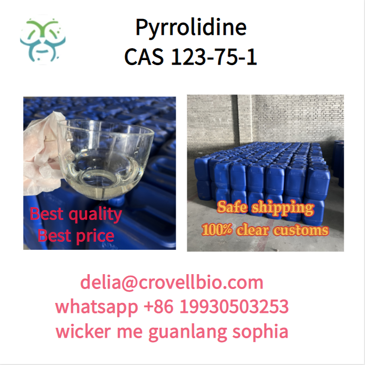 Pyrrolidine CAS 123-75-1 supplier in China (delia@crovellbio.com whatsapp +86 19930503253) - photo