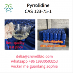 Pyrrolidine CAS 123-75-1 supplier in China (delia@crovellbio.com whatsapp +86 19930503253) - Sell advertisement in Los Angeles