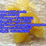 Water-soluble Lanolin CAS8006-54-0 - Sell advertisement in New York city