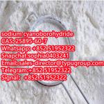 Supply Sodium Cyanoborohydride CAS 25895-60-7 with best price - Sell advertisement in New York city