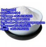 Hot Selling Praziquantel powder CAS 55268-74-1 - Sell advertisement in New York city