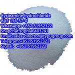 Cysteamine hcl / Cysteamine hydrochloride CAS 156-57-0 - Sell advertisement in New York city