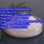 Cysteamine hcl / Cysteamine hydrochloride CAS 156-57-0 - Sell advertisement in New York city