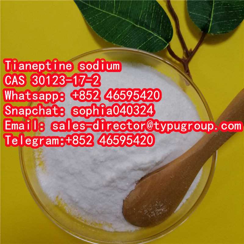 Tianeptine sodium	cas30123-17-2 - photo