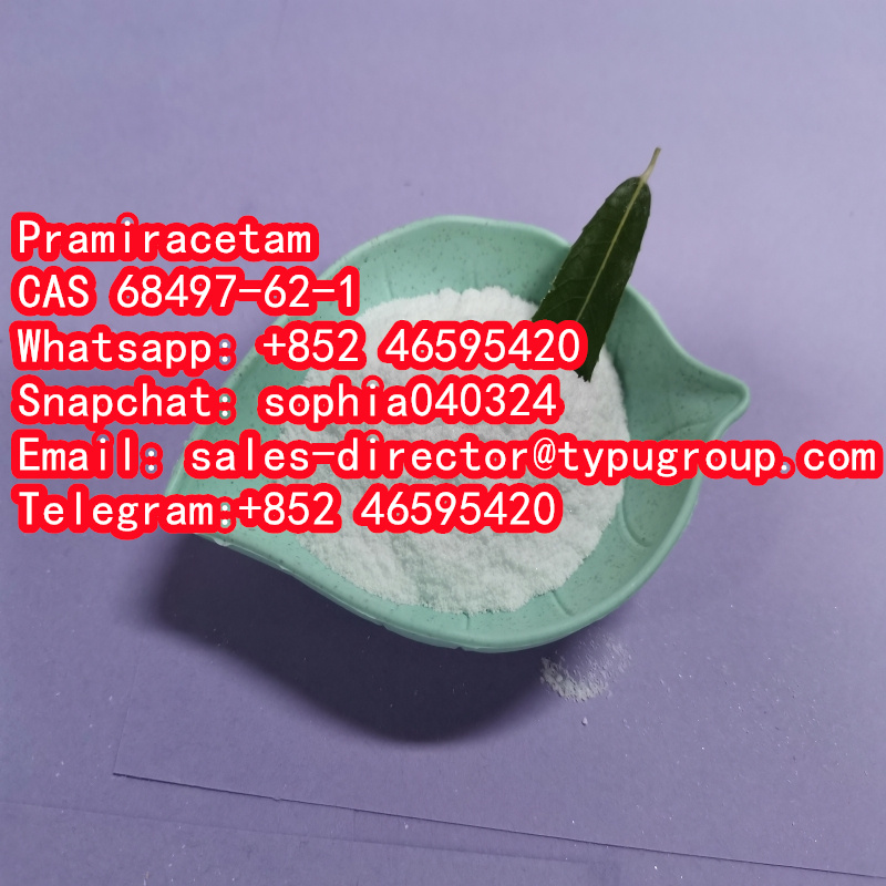 Pramiracetam	CAS68497-62-1 - photo