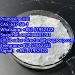 Pramoxine HCl CAS637-58-1 - Sell advertisement in New York city