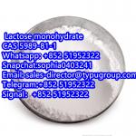 China factory supply CAS 5989-81-1 Lactose monohydrate - Sell advertisement in New York city