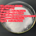 KCL potassium chloride  CAS 7447-40-7 - Sell advertisement in New York city