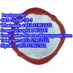 Hot Selling Praziquantel powder CAS 55268-74-1 - Sell advertisement in New York city