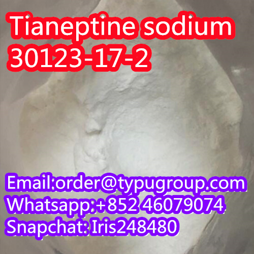 Hot sale of Tianeptine sodium cas 30123-17-2 Whatsapp:+852 46079074 - photo