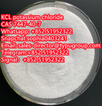 181 KCL potassium chloride  CAS 7447-40-7 - Sell advertisement in New York city