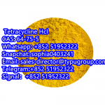 Hot Selling 99% Tetracycline HCL CAS 64-75-5 Tetracycline Hydrochloride  - Sell advertisement in New York city