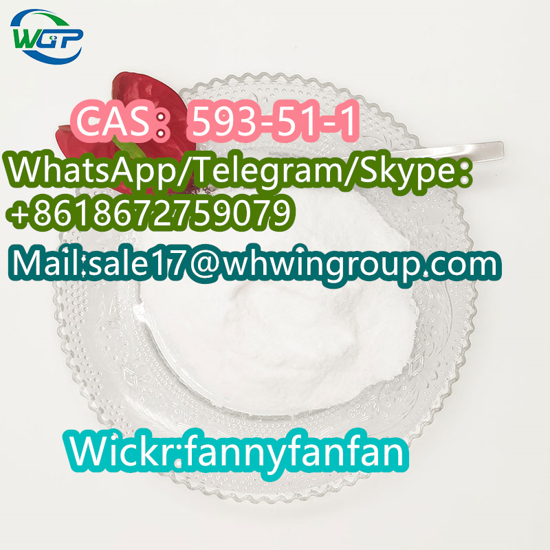 Pharmaceutical Intermediate CAS：593-51-1 Methylamine hydrochloride +8618672759079 - photo