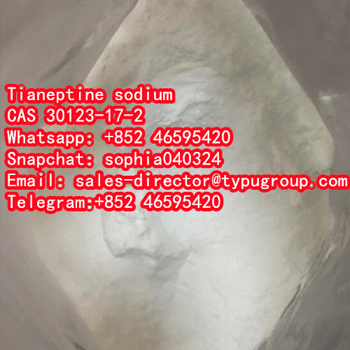 Tianeptine sodium	cas30123-17-2 - photo